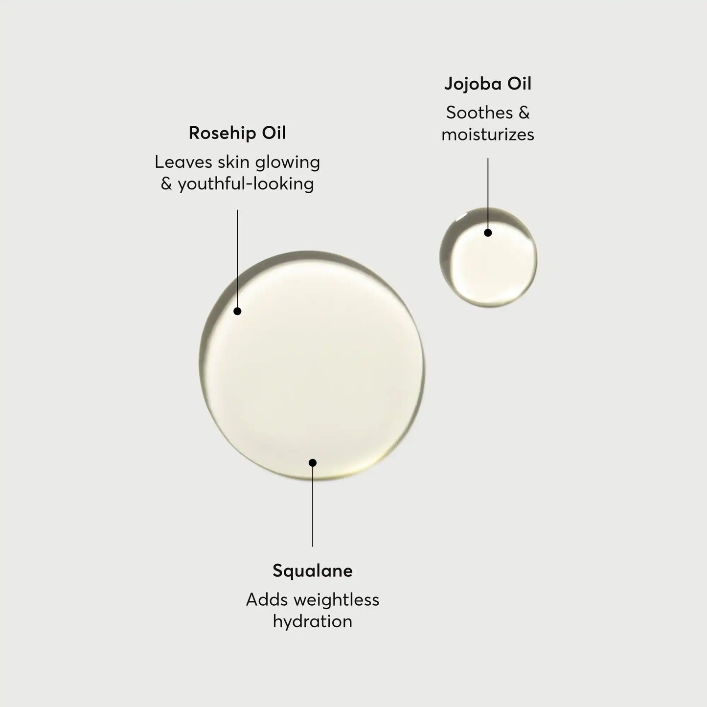 the-glow-getter-body-oil-m7 NATR-10115-Alt-Images-The-Glow-Getter-Body-Oil-01.webp