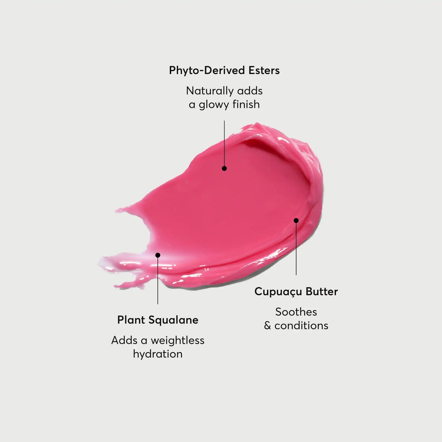 phyto-glow-lip-balm-camellia-l5 NATR-60075-Alt-Images-Phyto-Glow-Lip-Balm-Camellia-01.webp